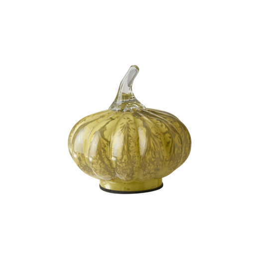 PUMPKIN Dekoration S, Gul